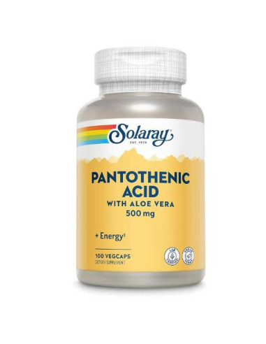 Solaray Acide Pantothénique 500mg, 100 Capsules : Soutien Énergétique et Métabolique