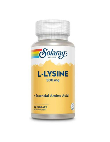 Solaray L-Lysine 500mg, 60 Capsules: Santé Immunologique et Tissus